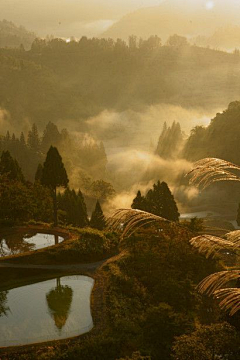妩媆采集到场景