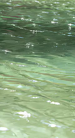 头像 壁纸