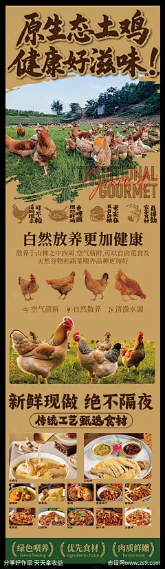 赣南美食散养土鸡长图海报-源文件下载-志’设.网