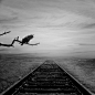 Last train 's over by AGNIRIBE : 1x.com is the world's biggest curated photo gallery online. Each photo is selected by professional curators. Last train 's over by AGNIRIBE