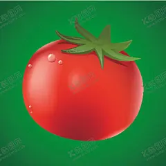 番茄蔬菜水果 【酷图网】番茄,蔬菜,水果,手绘蔬菜,有机蔬菜海报,绿色蔬菜,无公害蔬菜,果蔬促销,农家蔬菜,蔬菜展板,蔬菜海报,有机蔬菜,新鲜蔬菜,新鲜水果,水果促销,水果店挂画,超市水果区,水果展板,水果海报,水果广告,新鲜水果海报,绿色食品海报,水果店海报,水果农场,有机水果,水果零售,绿色产品,水水果拼盘
