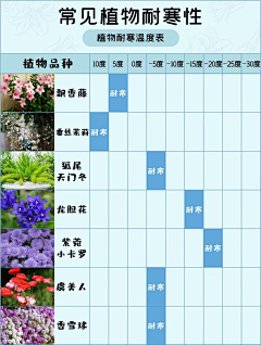 lizhixing采集到花境植物名称