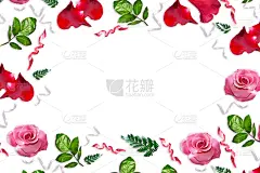 玫瑰,花蕾,康乃馨,清新,背景分离,边框,壁纸,春天,植物,背景
