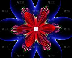 抽象的壁纸。抽象的分形。分形艺术背景的创意设计。壁纸桌面、海报、封面小册子、卡片等装饰。迷幻。打印衣