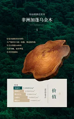 8805d38e867a6570
