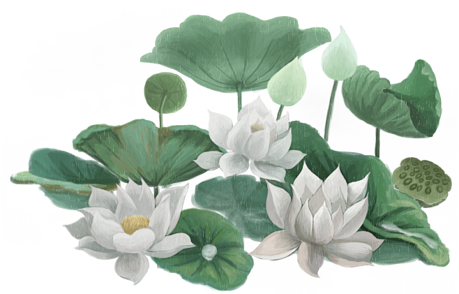 夏日荷花莲花花卉png_27231567...