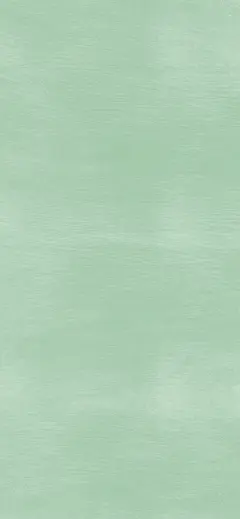 壁纸背景图
绿色系wallpaper

愿知足且上进 ​​​​