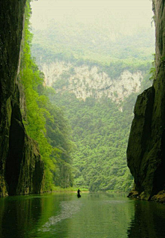 卡萨阿迪寄生虫采集到场景