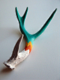 Image Spark - Image tagged "color", "antler", "bright colors" - carinaldi