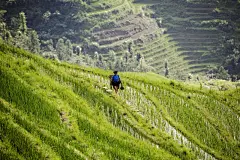 桂林龙胜龙脊梯田桌面高清壁纸桌面壁纸2