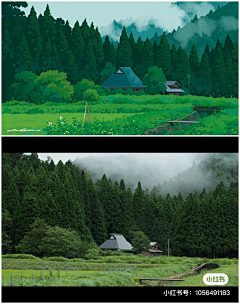 纯美学采集到插画风景