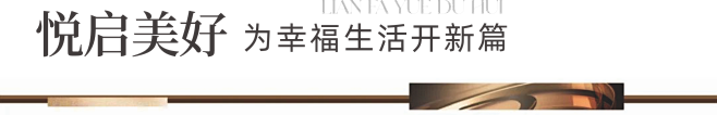 微信图片_20241202104308