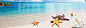 沙滩,海滩,海星,椰树,马尔代夫,海报banner,摄影,风景图库,png图片,网,图片素材,背景素材,2549257@北坤人素材