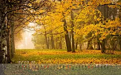 2012年11月日历风光桌面高清壁纸桌面壁纸2