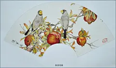 花鸟工笔画扇面欣赏！【书画典藏】