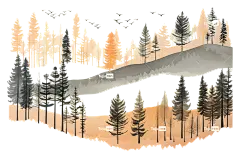 森林树木自然景观—高大树木的黑暗森林，黑暗的天空