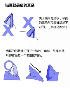 【绘画教程】画师 Yielder 教你如何画一只可爱的猫咪（动物教程）