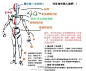 #优动漫好料推荐# 【画法教程】人体全身像画法教程，绝佳攻略人体全身！角度多~讲解细致~在攻克人体大关的童鞋不妨参考参考~高清大图→O网页链接