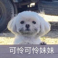 @表情包 的个人主页 - 微博
