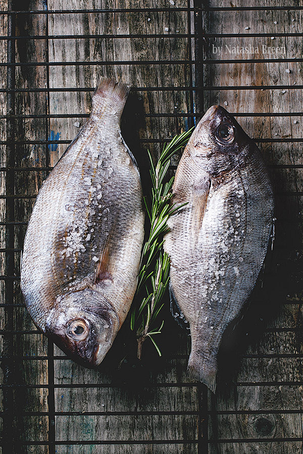 Two raw dorado fish ...