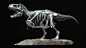 Tyrannosaurus rex 2021 ver , Vitamin Imagination : Hi guys~
Once again, in four years since 2017, I have produced my favorite dinosaur, Tyrannosaurus Rex modeling. 
I think I can confidently say that this work paid more attention to scientific evidence th