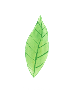 E-miko采集到素材-植物