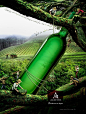 Acavitis葡萄酒经典创意广告分享
