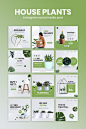 House Plants Social Media Post Design