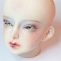face-up ANS竹群 -N+