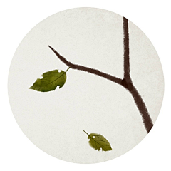 慢猫manting采集到国画书法缂丝