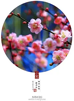 #立春#【龙岩版二十四节气图】今日立春,这是冬的结束,春的起始.网友 @刘微染 :一直心心念念想做一版自己家乡的二十四节气图.积累两三年后,终于实现。这组图均取景于福建龙岩.永定土楼,茶园樱花,民间故宫….春夏秋冬,风景无处不在,二十四节气,每个都清新美丽,24张图更透露的是他对家乡浓浓的爱与深情!