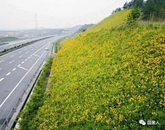 Cherry(≧▽≦)采集到护坡/护坝/挡土墙/拦河坝/石笼景观