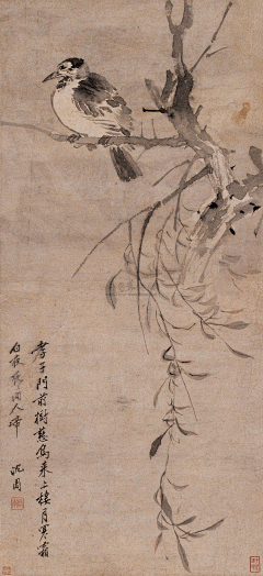 阿诺（luloo)采集到画