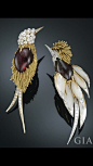 Birds of a feather flock together, especially these beautiful 1960s brooches designed by Pierre STERLÉ ! A Gold swallow-tailed bird Brooch with Rubellite and Pearl, and a Gold Bird of Paradise Brooch with Rubellite, Mother-of-Pearl and pavé Diamonds come 