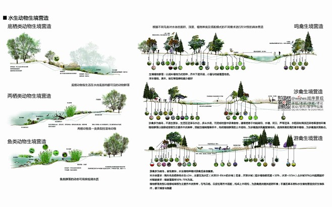 重生之境——尊重自然力启示下的城市生物多...