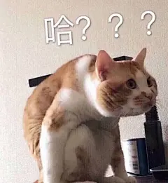 (15 封私信 / 63 条消息) 你用过的最沙雕的表情包是什么？ - 知乎 : 以下是我平时保存下来的，双击默认点赞，所以如果双击后不想点赞的可以取消，我只是分享给大家看看，并不…