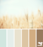 wheat tones