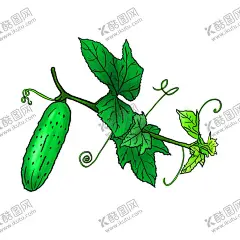 藤上的新鲜黄瓜插画 【酷图网】卡通黄瓜,手绘黄瓜,黄瓜插画,黄瓜图标,小黄瓜,黄瓜,新鲜小黄瓜,水果黄瓜,嫩黄瓜,小青瓜,有机黄瓜,青瓜,荷兰黄瓜,有机小黄瓜,地黄瓜,卡通插画图标,矢量黄瓜
