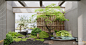现代景观造景3D模型下载【ID:1127099007】_知末3d模型网