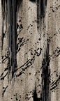 中式花鸟虫鱼地毯高清美图分享，还有水墨系列哦 (7) - 地毯 - MT-BBS