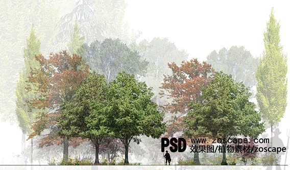 ps园林景观植物素材_psd效果图渲染植物建筑景观素材_植物|配景|贴图_ZOSCAPE-园林景观设计意向图库|园林景观学习网 - 景观规划 ...