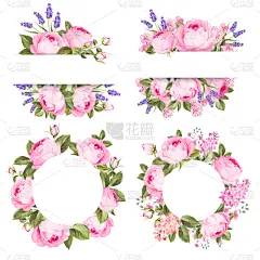 vintage rose flowers set over white background