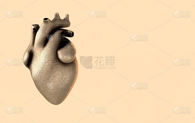 真实的人类心脏器官与动脉和主动脉三维渲染。情人节贺卡快乐。浪漫的背景。金色金属的心