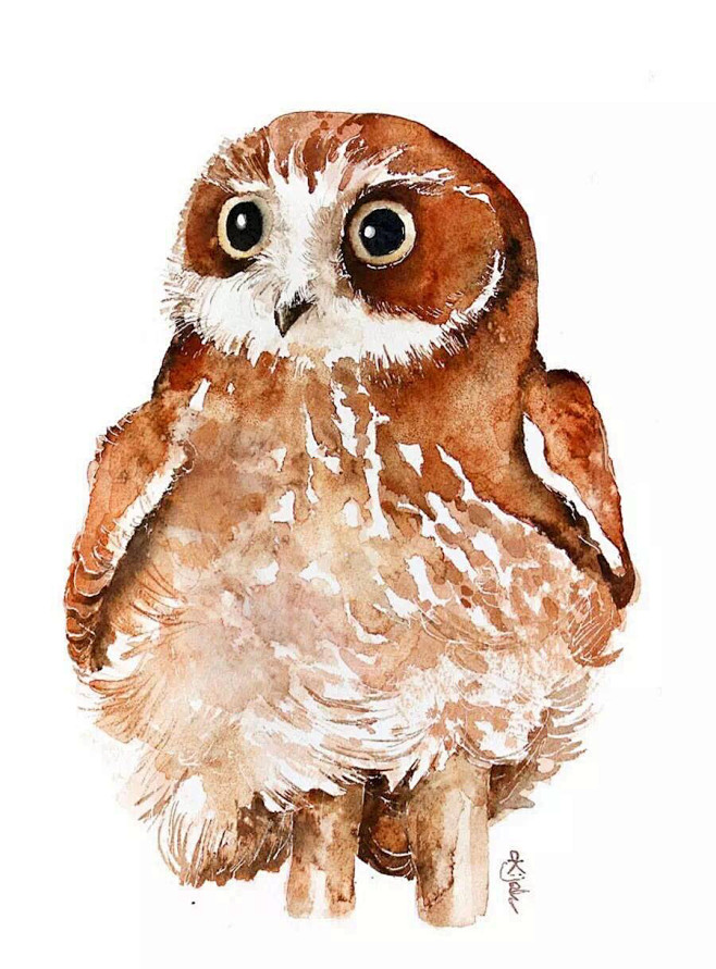 来自相册