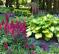 Shade garden: Love the color combos. Love the astilbes!  Must have addition for next spring