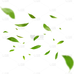 植物通用实景绿色动态落叶元素素材