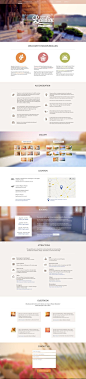 Maison Beaulieu website and branding. by Diana Wieczorek, via Behance