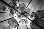 Umbrellas - stock photo
