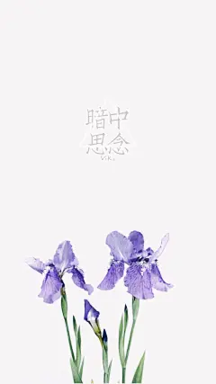 文字壁纸【高清手机壁纸。花卉插画。设计灵感。桌面锁屏。】❤️
