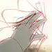 Birdy_Tang
